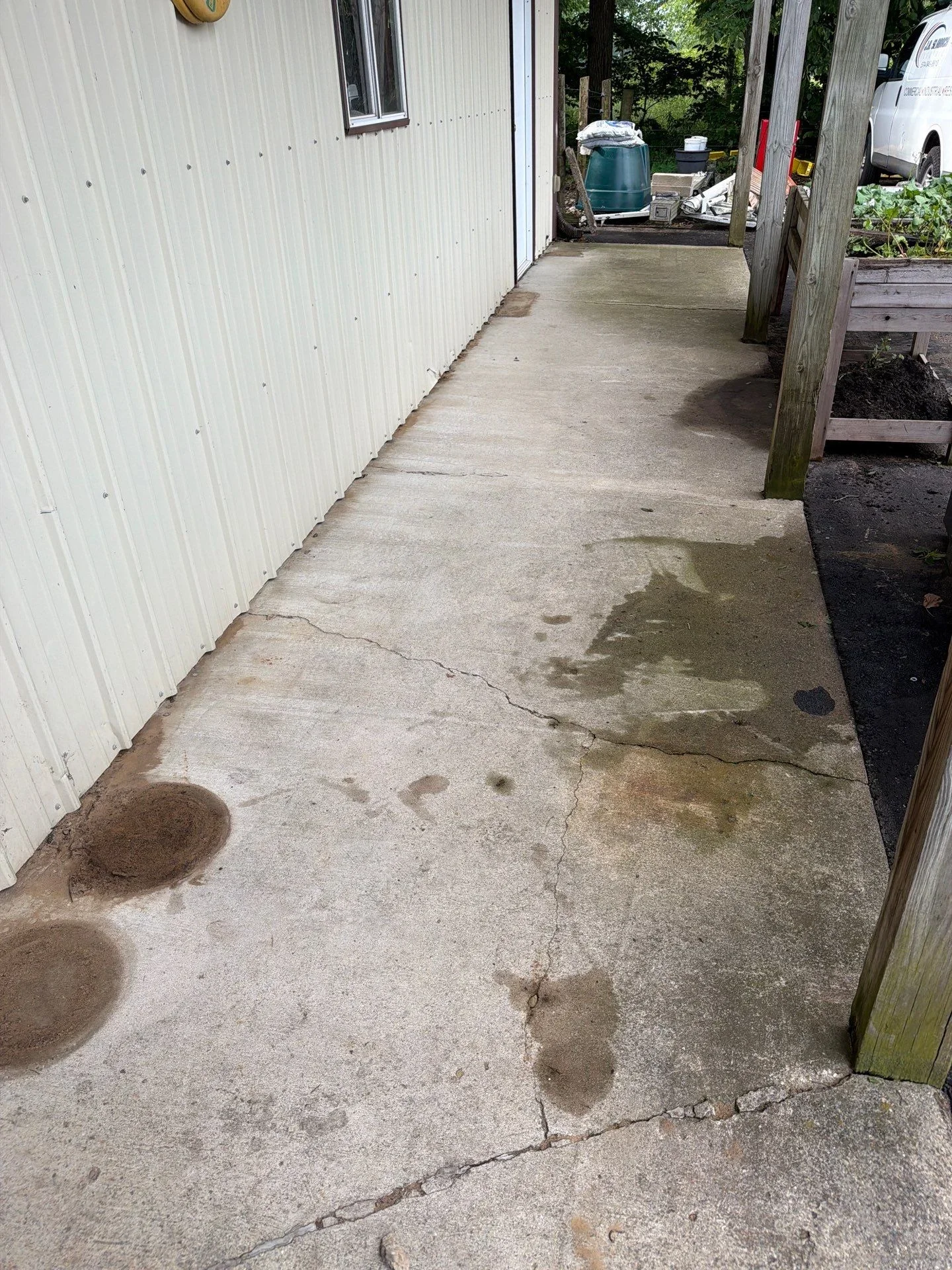 Concrete pathway with stains and algae growth before cleaning and restoration work
