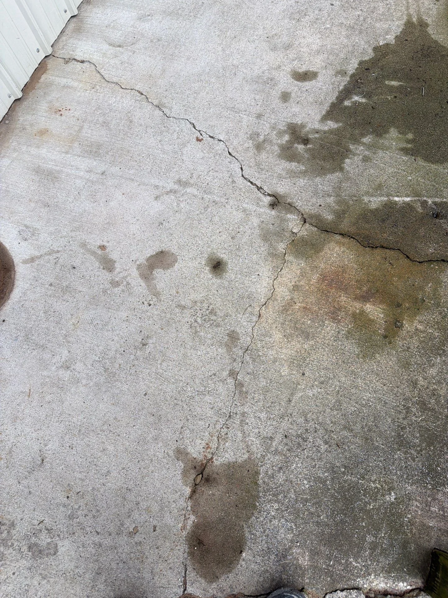 Cracked concrete driveway with mold staining and structural damage before repair